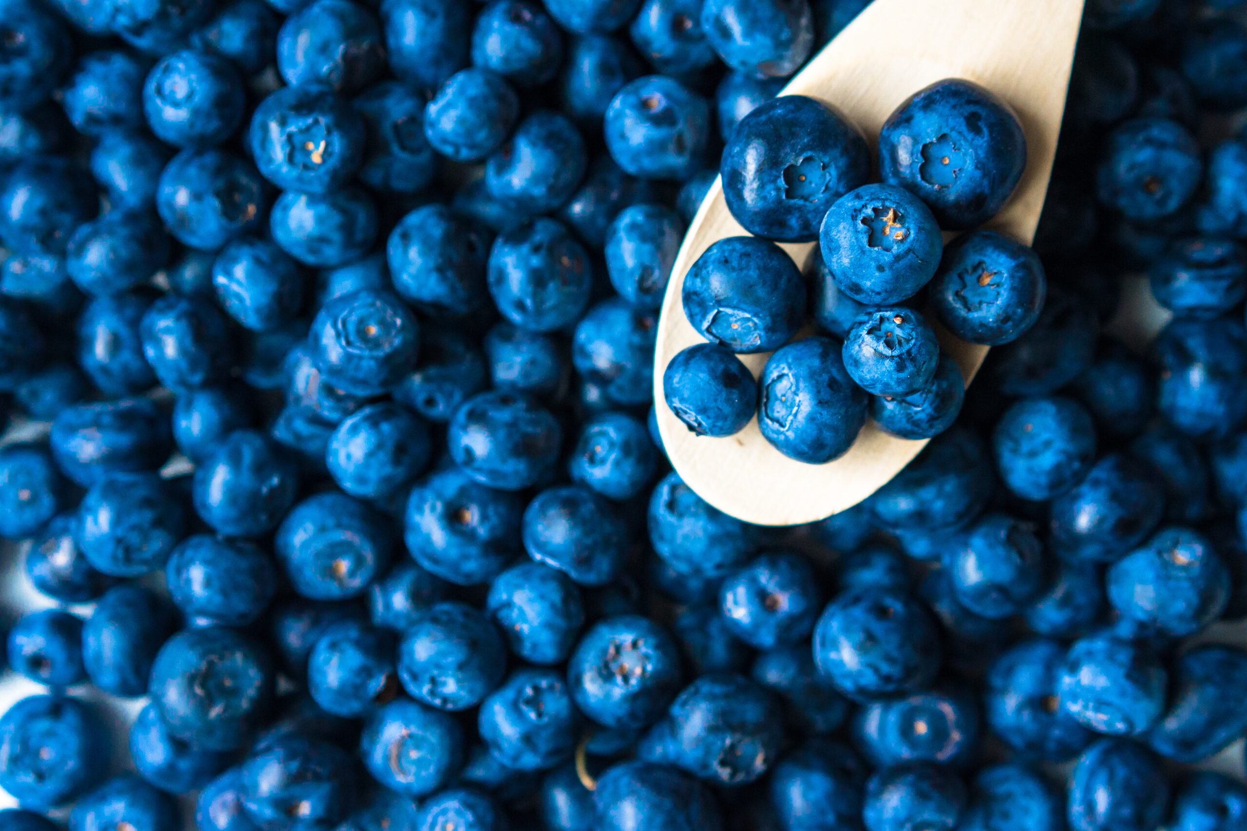 How to Eat Right for Weight Loss as a Busy Mom 1 dsc07793 2 3444 scaled