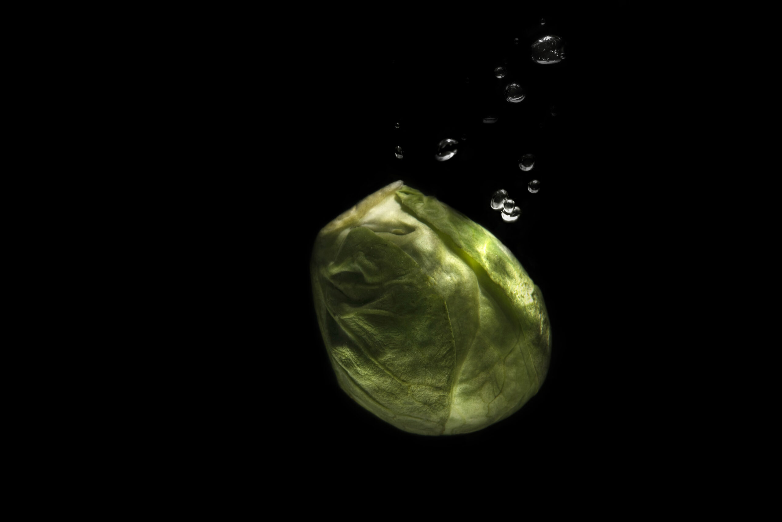 How to Eat Right for Weight Loss as a Busy Mom 2 graphicstock brussels sprouts dieting food isolated on black background r gM t Yae scaled